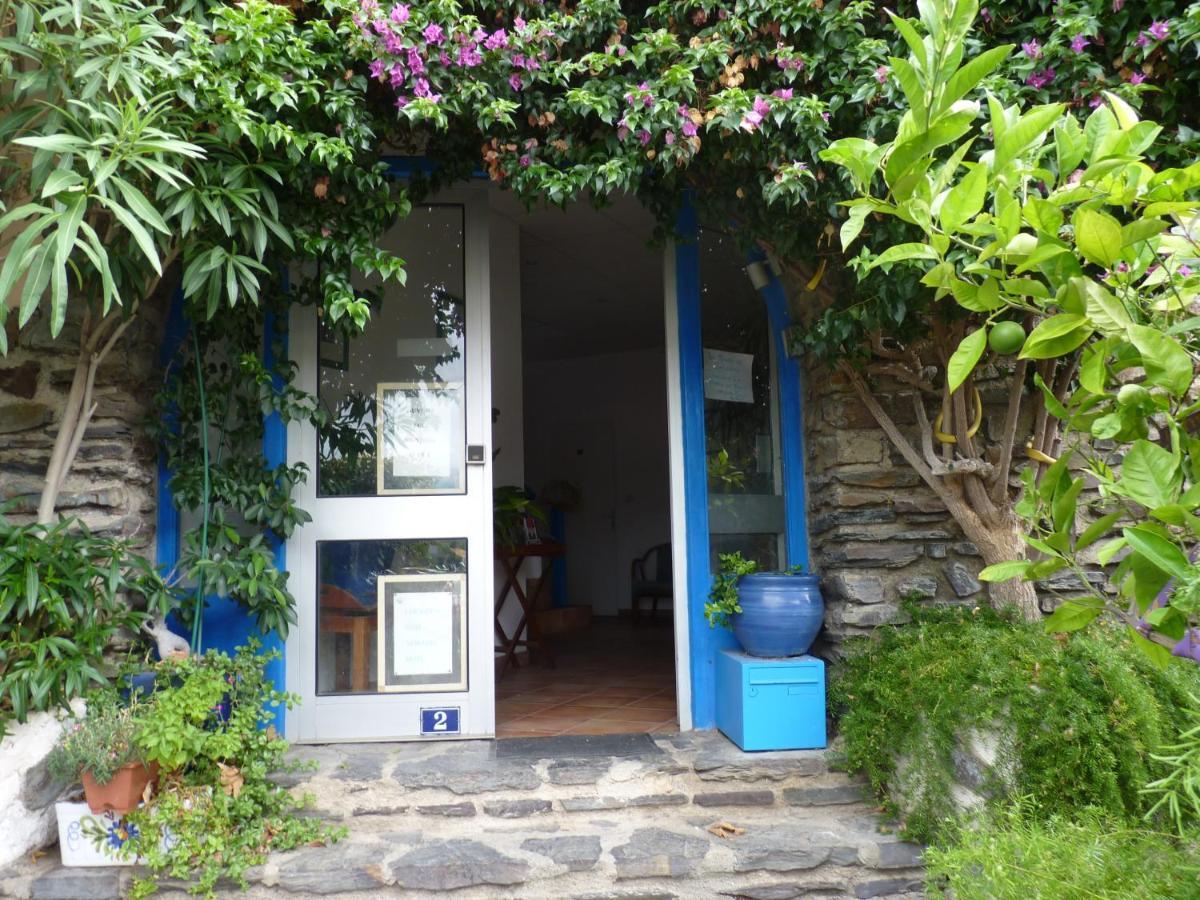La Grande Bleue Apartment Банию-сюр-Мер Екстериор снимка